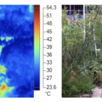 UNESCO 8°C / Huerto Tlatelolco 9.5°C: Regeneración social y climática en el corazón de la Ciudad de México